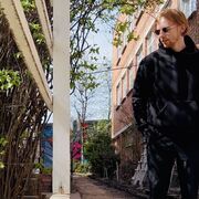 ���������� �����, ���� ������� ����, 33 ����, ������������ ��� ���������