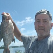  ,   , 59 ,   ,   