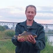 ���������� ����, ���� ������� �������, 44 ����, ������������ ��� ������, ����� � ���������