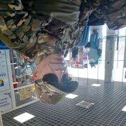 ���������� ������-��-����, ���� ������� ������, 44 ����, ������������ ��� ������, ����� � ���������