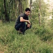  ,   , 33 ,   ,   