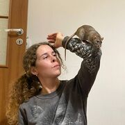 ���������� �����, ������� �������, 47