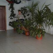 ���������� �������������, ���� ������� �����, 50 ���, ������������ ��� ������, ����� � ���������, c�������� ���������, ���������