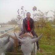 ���������� ����, ���� ������� Tariik, 41 ���, ������������ ��� ������, ����� � ���������, c�������� ���������