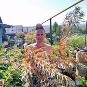 ���������� ���������, ���� ������� �������, 41 ���, ������������ ��� ������, ����� � ���������