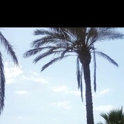  ,   , 32 ,   ,   , c 