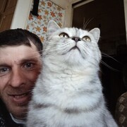  ,   , 43 ,   ,   