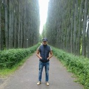  ,   Vipgold, 33 ,   