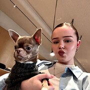 ���������� ��������, ���������