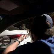 ���������� ���������, ���� ����� ����, 25 ���, ������������ ��� ������, ����� � ���������