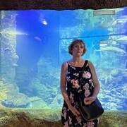 ���������� ����, ���� ������� �����, 60 ���, ������������ ��� ������, ����� � ���������