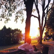 ���������� ����������, ������� ������, 29