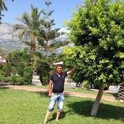 ���������� ��������, ���� ������� �����, 40 ���, ������������ ��� ������, ����� � ���������, c�������� ���������