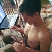 ���������� ������������, ���� ������� �������, 28 ���, ������������ ��� ������, ����� � ���������, ���������