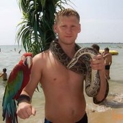 ���������� �����, ���� ������� �������, 40 ���, ������������ ��� ������