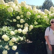  ,   , 61 ,   ,   