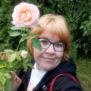 ���������� ������, ���� ������� �������, 40 ���, ������������ ��� ������, ����� � ���������