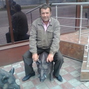  ,   , 59 ,   