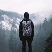  ,   , 43 ,   