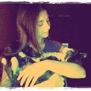 ���������� ����, ���� ������� �����, 29 ���, ������������ ��� ����� � ���������, c�������� ���������