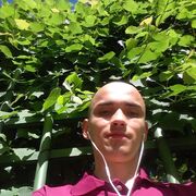  -,   , 31 ,   ,   , c 