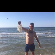 ���������� ������, ���� ������� ����, 38 ���, ������������ ��� ������, ����� � ���������