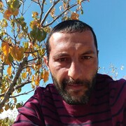  ,   Gev, 44 ,   ,   