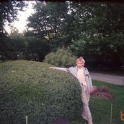  ,   , 33 ,   