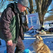 ���������� �����, ���� ������� �������, 44 ����, ������������ ��� ������, ����� � ���������, c�������� ���������