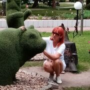  ,  , 61
