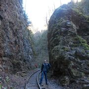 ���������� ���������, ���� ������� �������, 36 ���, ������������ ��� ������, ����� � ���������