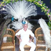   ,   , 52 ,   ,   