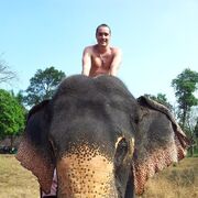 ���������� ���������, ���� ������� ����������, 36 ���, ������������ ��� ������, ����� � ���������, c�������� ���������