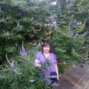  ,   , 59 ,   c 