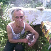  ,   , 71 ,     , c 