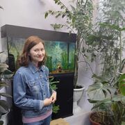 ���������� ������, ���� ������� �����, 33 ����, ������������ ��� c�������� ���������