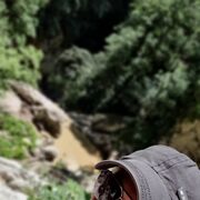 ���������� ����, ���� ������� �����, 49 ���, ������������ ��� ������, ����� � ���������