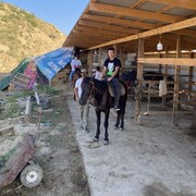 ���������� ������, ���� ������� �����, 26 ���, ������������ ��� ������, ����� � ���������, c�������� ���������, ���������