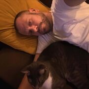 ���������� ���� �����������, ���� ������� ����, 36 ���, ������������ ��� ������, ����� � ���������, c�������� ���������, ���������