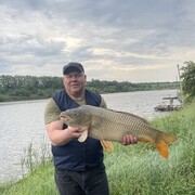 ���������� ��������, ���� ������� ����������, 56 ���, ������������ ��� ������, ����� � ���������