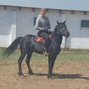 ���������� �����������, ���� ������� ��������, 29 ���, ������������ ��� ������, ����� � ���������, c�������� ���������