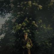 ���������� ����, ���� ������� Poet, 43 ����, ������������ ��� ������, ���������