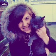 ���������� �������, ���� ������� �����, 33 ����, ������������ 