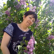  ,   , 55 ,  