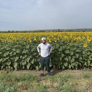 ���������� ����������, ���� ������� ���, 33 ����, ������������ ��� ������, ����� � ���������