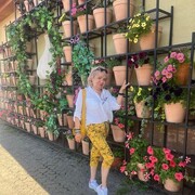 ���������� ���������, ���� ������� �����, 55 ���, ������������ ��� ������, ����� � ���������, c�������� ���������