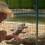 ���������� ����, ���� ������� ������, 51 ���, ������������ ��� ������, ����� � ���������