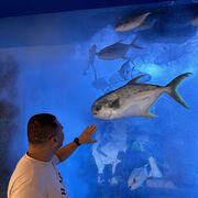 ���������� ������������, ���� ������� �����, 37 ���, ������������ ��� ������, ����� � ���������