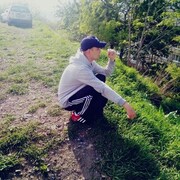  ,   , 31 ,   ,   
