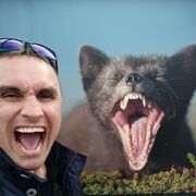 ���������� ������ �����, ���� ������� ���, 40 ���, ������������ ��� ������, ����� � ���������